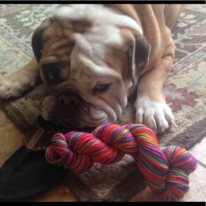 Meet your Posher, Anne